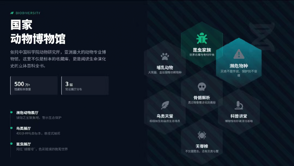 ChatExcel重磅升级— AI PPT功能上线,一句话,就能生成完整PPT!|ChatExcel 的AI PPT上线了