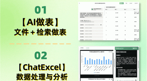 ChatExcel一条龙：AI做表、对话式分析、一键生成动态PPT