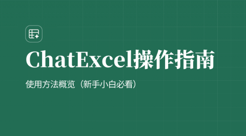 ChatExcel 使用操作指南（新手小白必看）