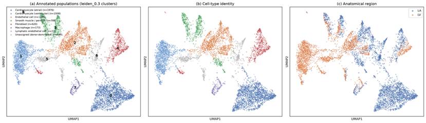 元空AI Science 上线：一站搞定科研任务+论文/实验文档的通用科研智能实验台